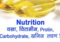 what is Nutrition, vitamin, protein