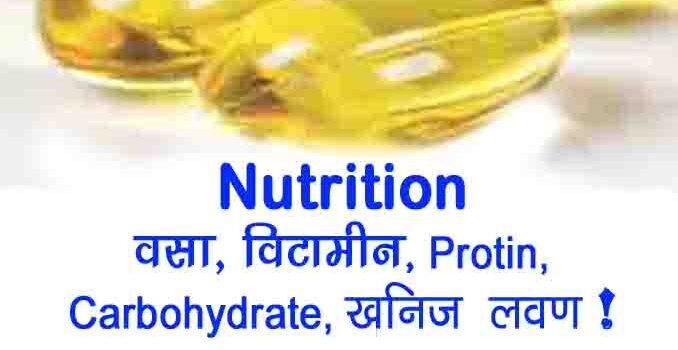 what is Nutrition, vitamin, protein