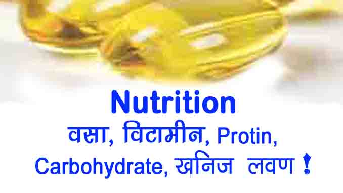 what is Nutrition, vitamin, protein