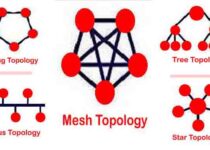 Types Of Network Topology in Hindi