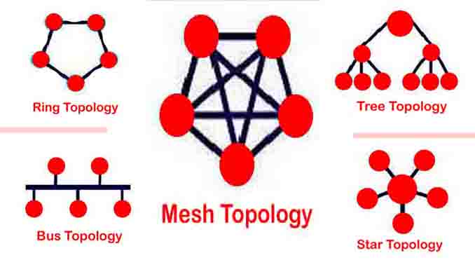 Types Of Network Topology in Hindi