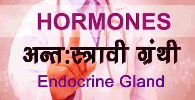 hormones kya hai in hindi