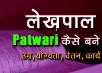 patwari kya hota hai in Hindi